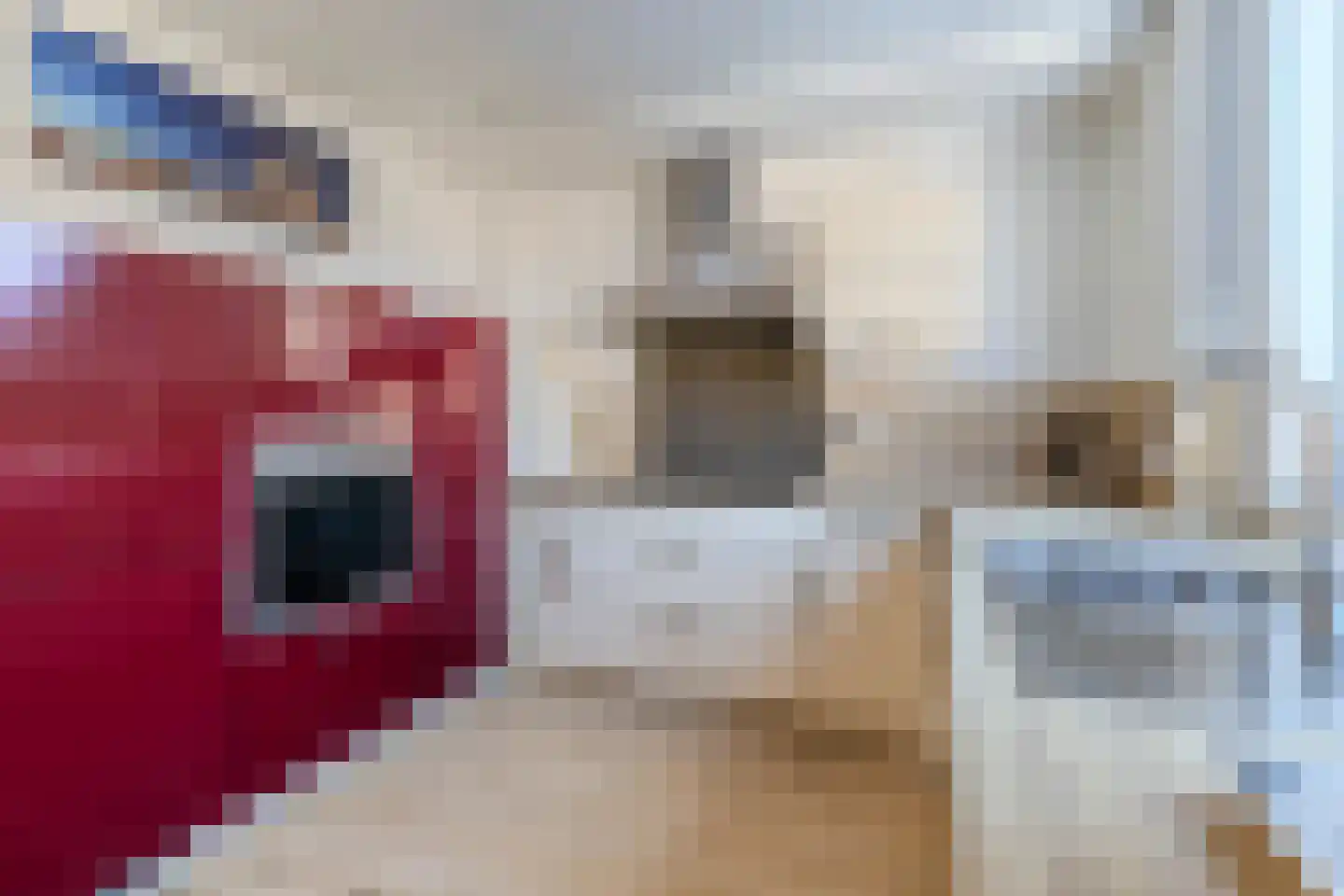 Ovidiushof 6 Maastricht thumbnail 12