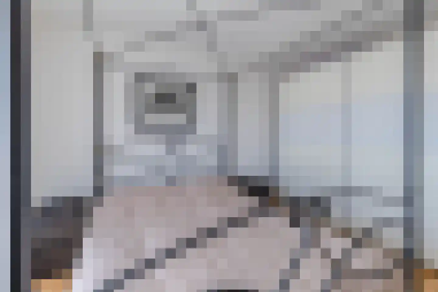 Ovidiushof 6 Maastricht thumbnail 15