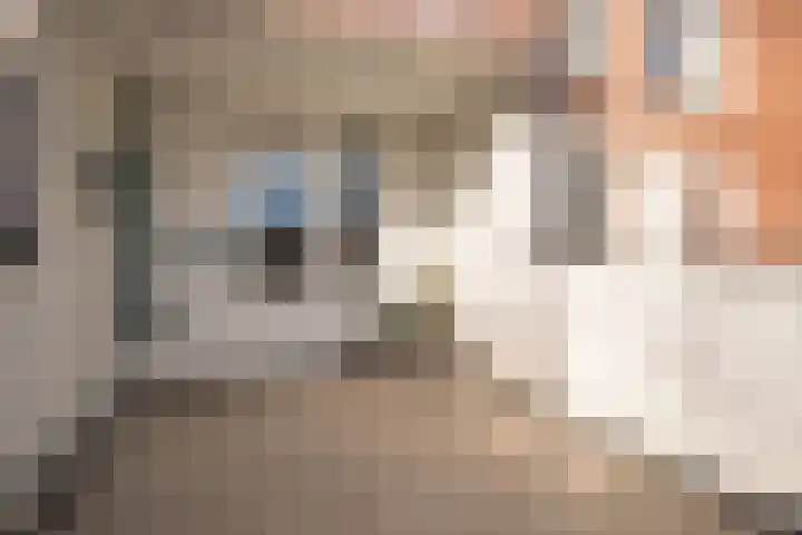 Ovidiushof 9 A Maastricht thumbnail 20