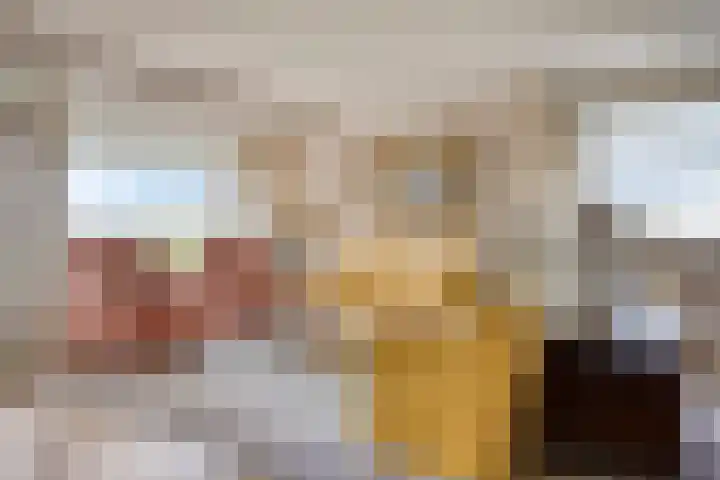 Ovidiuslaan 25 's-Hertogenbosch thumbnail 11