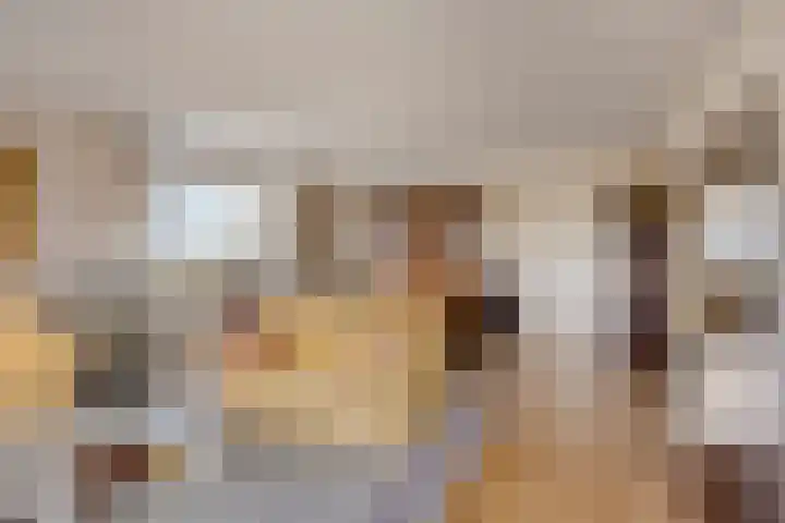 Ovidiuslaan 25 's-Hertogenbosch thumbnail 14