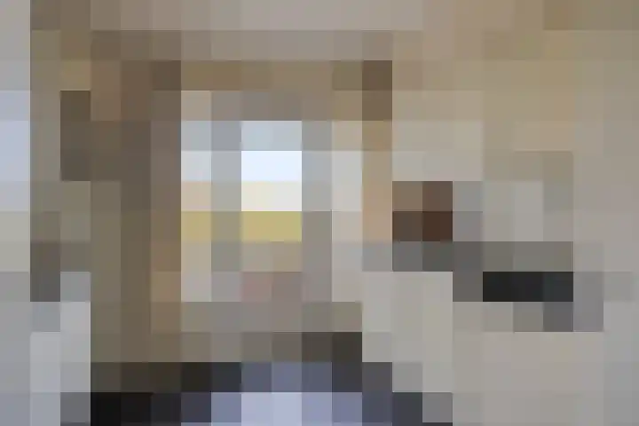 Ovidiuslaan 25 's-Hertogenbosch thumbnail 21
