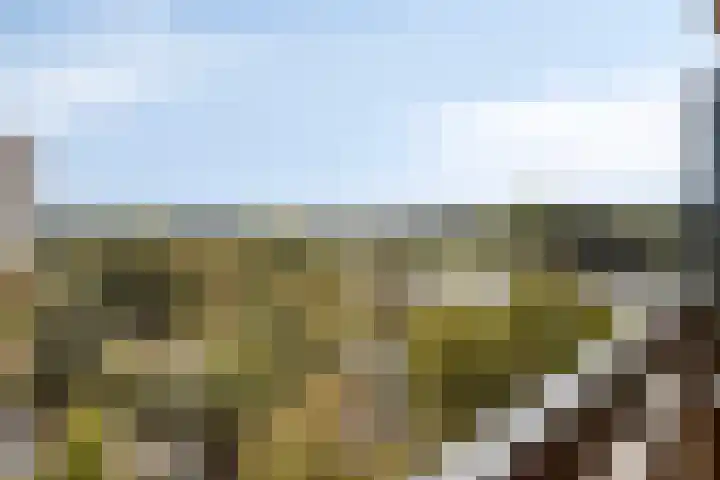 Ovidiuslaan 25 's-Hertogenbosch thumbnail 25