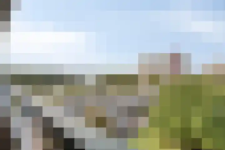 Ovidiuslaan 25 's-Hertogenbosch thumbnail 29