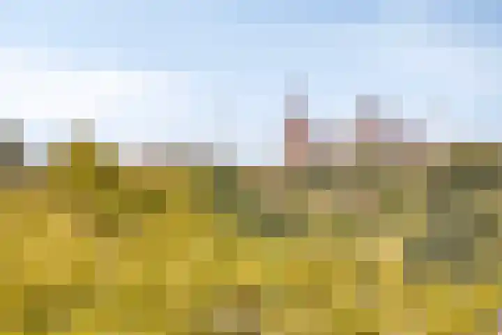 Ovidiuslaan 25 's-Hertogenbosch thumbnail 31