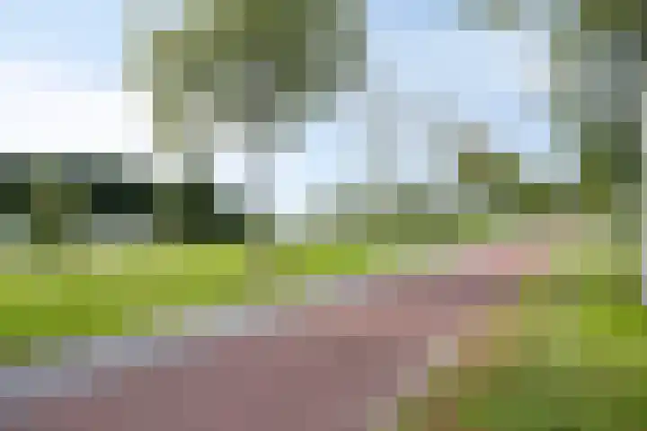 Ovidiuslaan 25 's-Hertogenbosch thumbnail 33