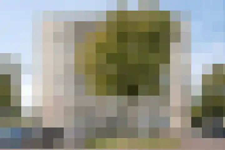Ovidiuslaan 25 's-Hertogenbosch thumbnail 34