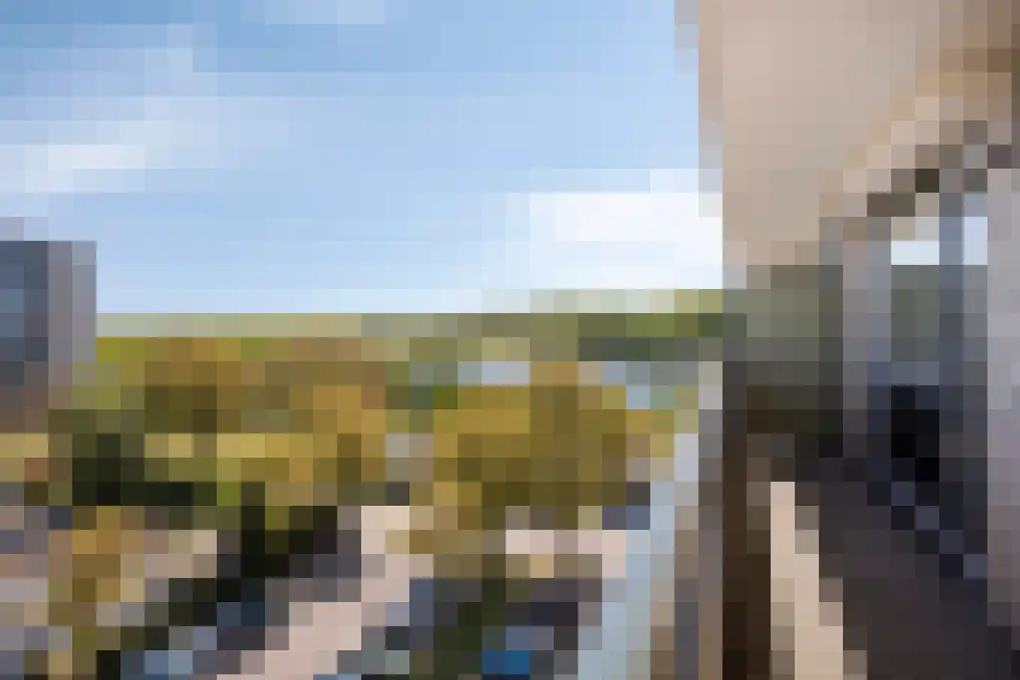 Ovidiuslaan 27 's-Hertogenbosch thumbnail 15