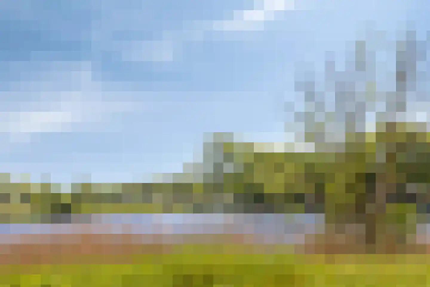 Ovidiuslaan 27 's-Hertogenbosch thumbnail 19