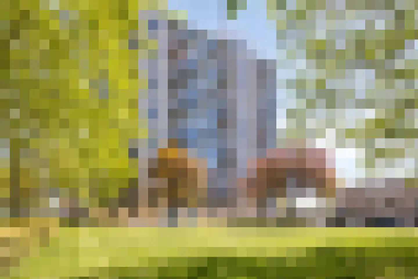 Ovidiuslaan 27 's-Hertogenbosch thumbnail 22