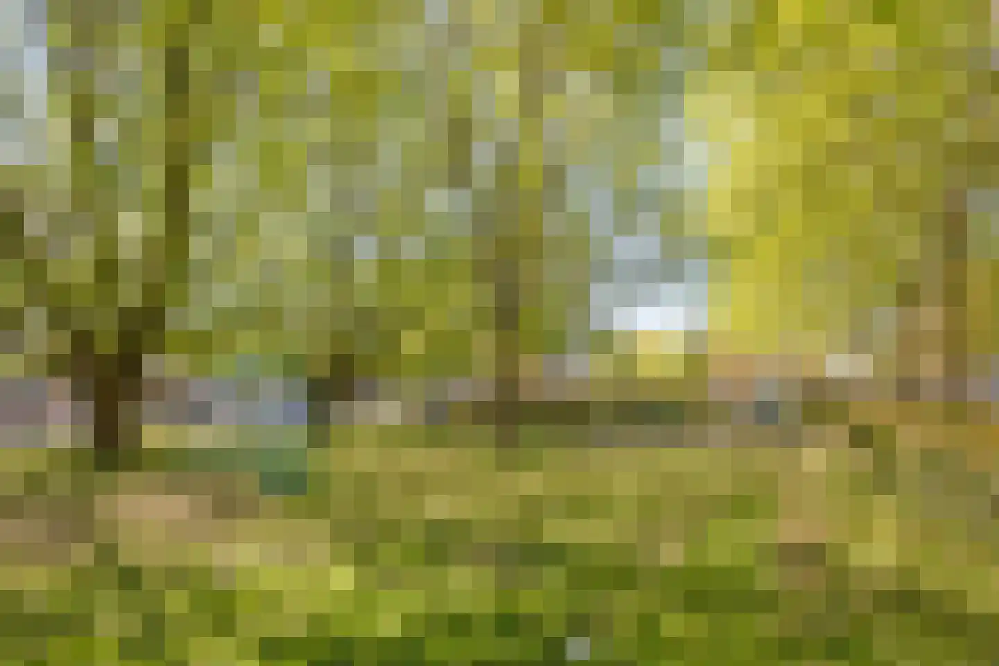 Ovidiuslaan 27 's-Hertogenbosch thumbnail 25