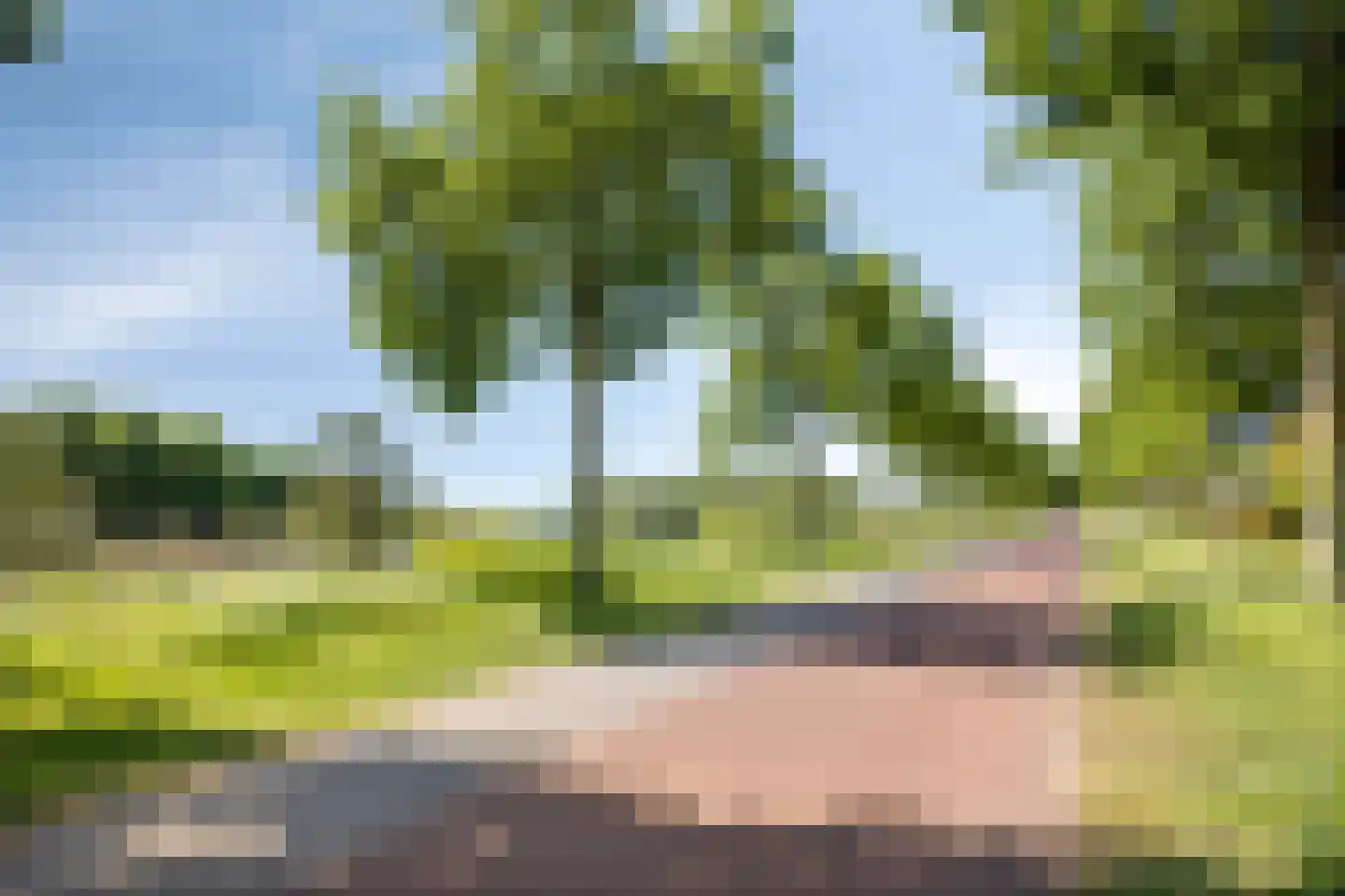 Ovidiuslaan 27 's-Hertogenbosch thumbnail 26