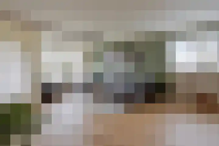Ovidiuslaan 5 's-Hertogenbosch thumbnail 13