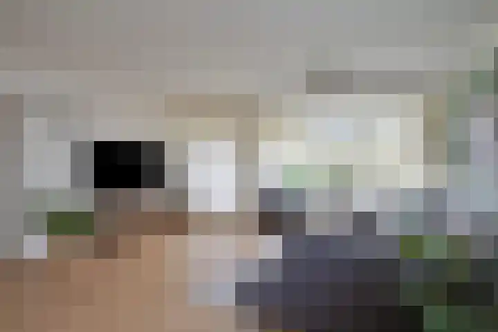 Ovidiuslaan 5 's-Hertogenbosch thumbnail 15