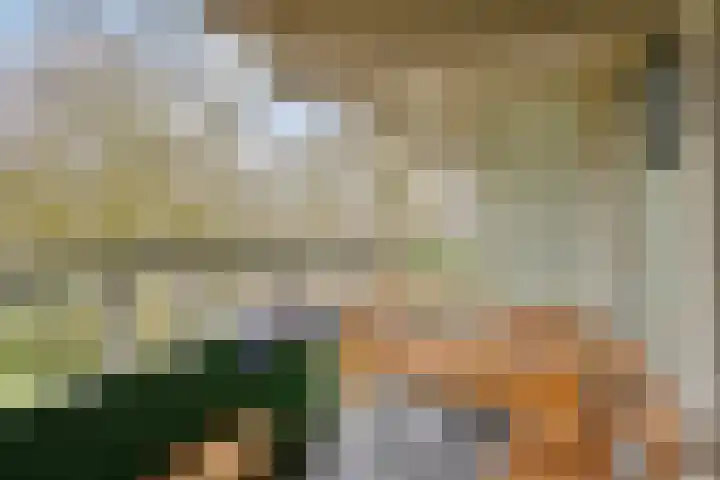 Ovidiuslaan 5 's-Hertogenbosch thumbnail 27