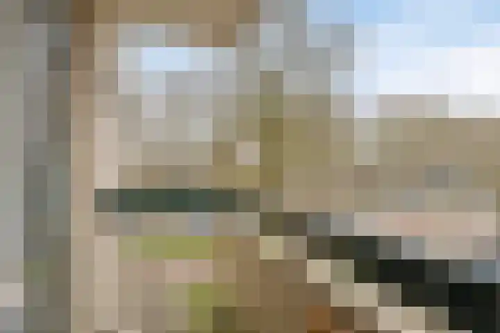 Ovidiuslaan 5 's-Hertogenbosch thumbnail 41