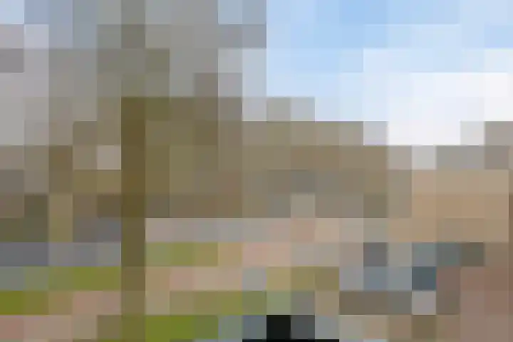 Ovidiuslaan 5 's-Hertogenbosch thumbnail 42