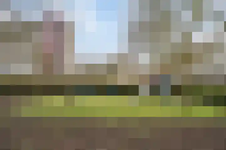 Ovidiuslaan 5 's-Hertogenbosch thumbnail 44