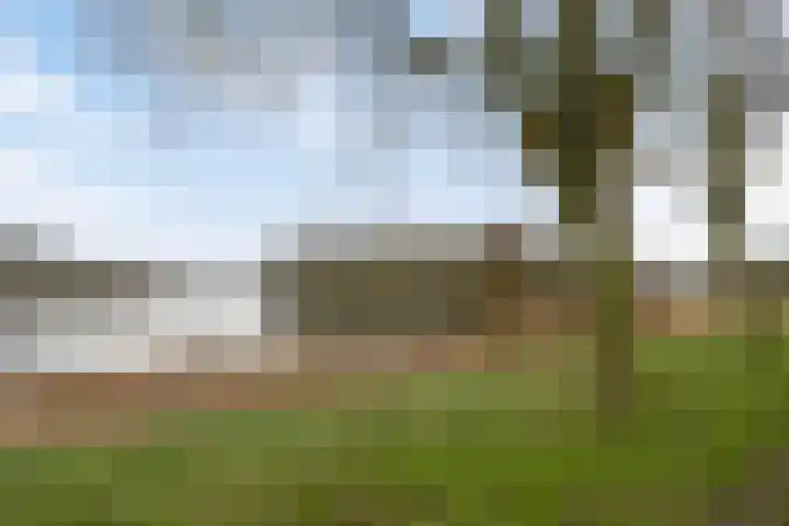 Ovidiuslaan 5 's-Hertogenbosch thumbnail 46