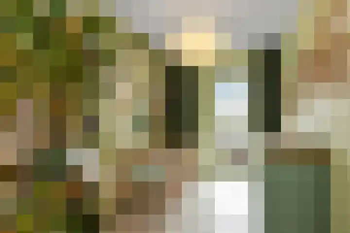 Ovidiuslaan 59 Arnhem thumbnail 29