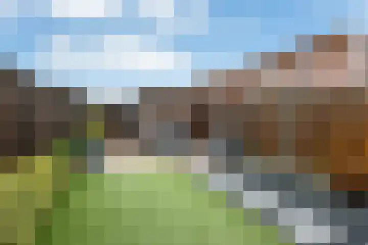 Ovidiuslaan 59 Arnhem thumbnail 41
