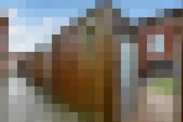 Ovidiuslaan 59 Arnhem thumbnail 49