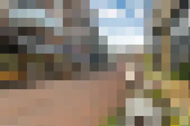 Ovidiuslaan 59 Arnhem thumbnail 62