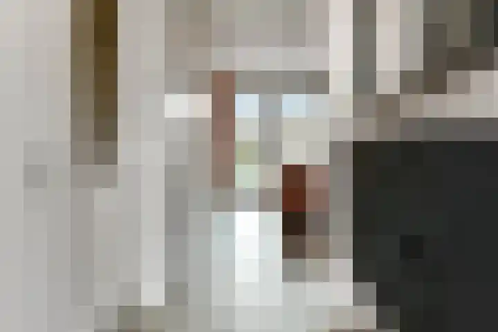 Ovidiuslaan 59 Arnhem thumbnail 8