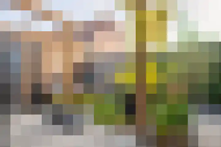 Ovidiuslaan 61 Arnhem thumbnail 23