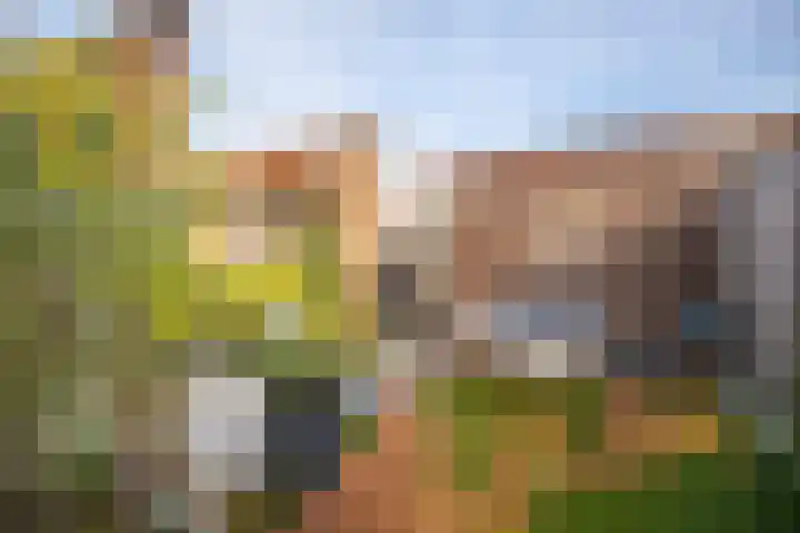 Ovidiuslaan 61 Arnhem thumbnail 24