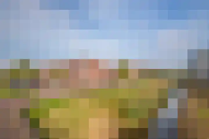 Ovidiuslaan 61 Arnhem thumbnail 28