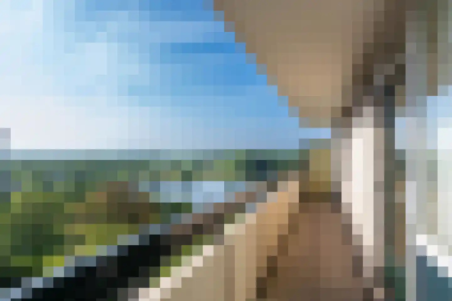 Ovidiuslaan 89 's-Hertogenbosch thumbnail 33