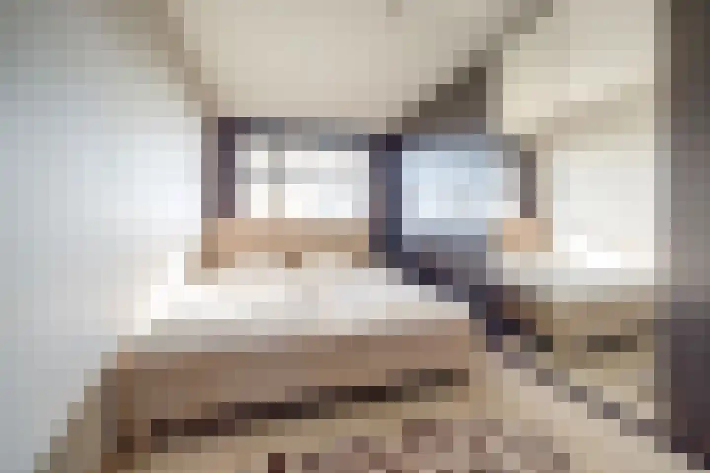 Ovidiuslaan 97 's-Hertogenbosch thumbnail 38