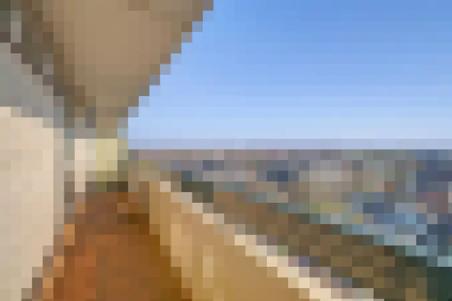 Ovidiuslaan 97 's-Hertogenbosch thumbnail 46