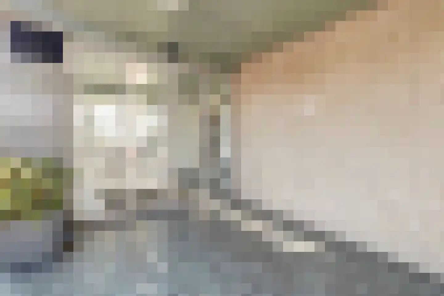Ovidiuslaan 97 's-Hertogenbosch thumbnail 6