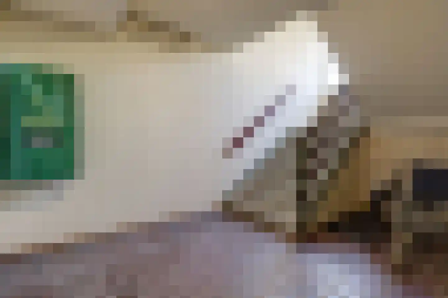 Ovidiuslaan 97 's-Hertogenbosch thumbnail 8
