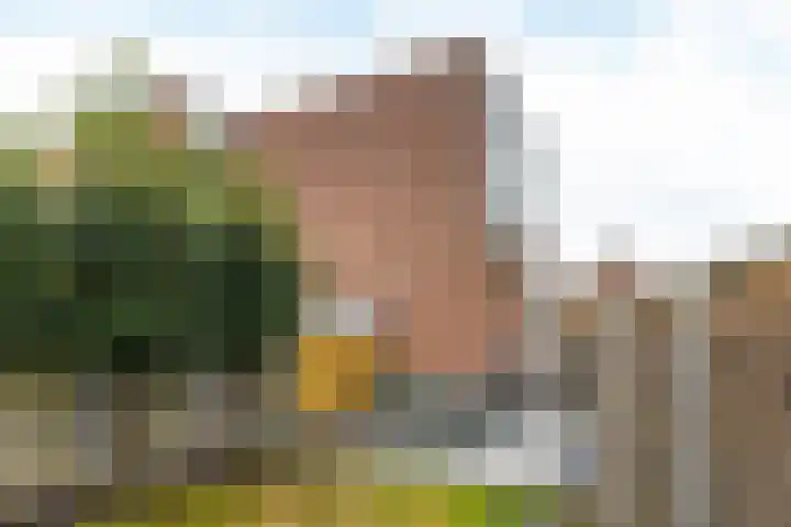 Ovidiusstraat 109 Heerlen thumbnail 36