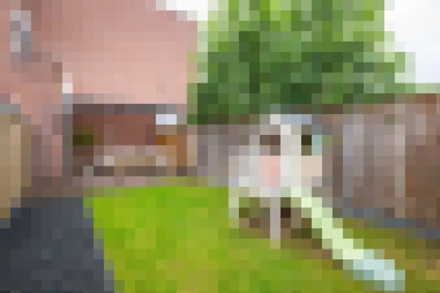 Ovidiusstraat 111 Heerlen thumbnail 26