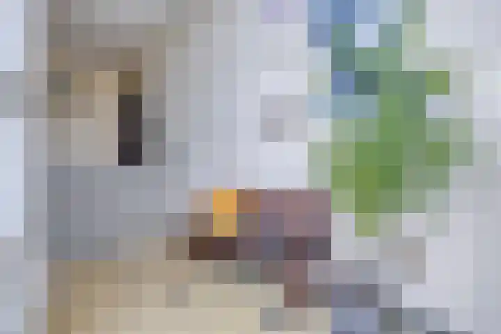 Ovidiusstraat 40 Rotterdam thumbnail 4