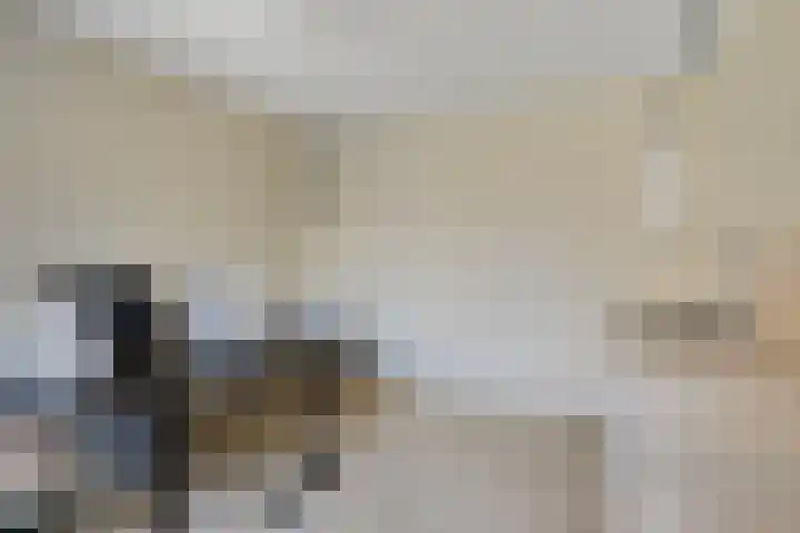 Ovito 16 Vlijmen thumbnail 10