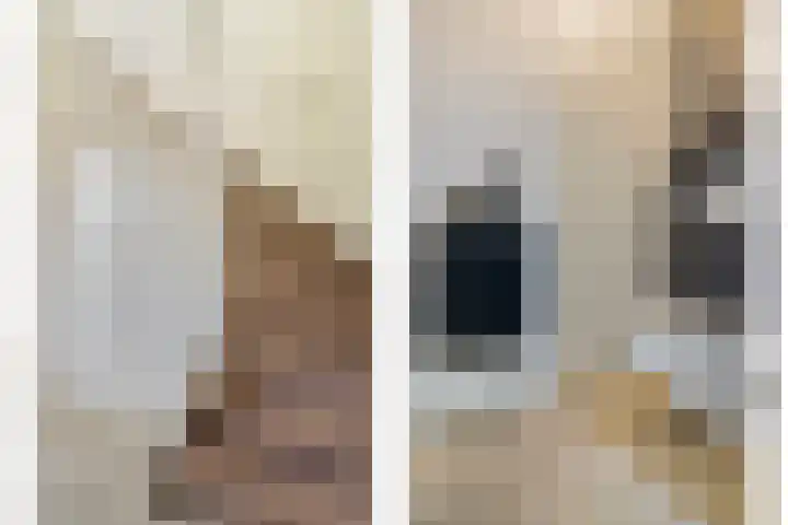 Ovito 16 Vlijmen thumbnail 12
