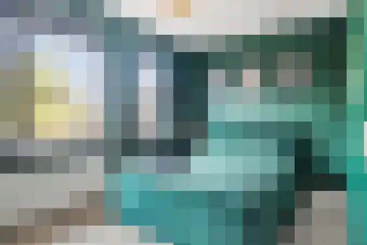 Ovito 16 Vlijmen thumbnail 15