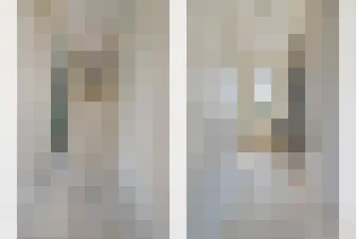 Ovito 16 Vlijmen thumbnail 20