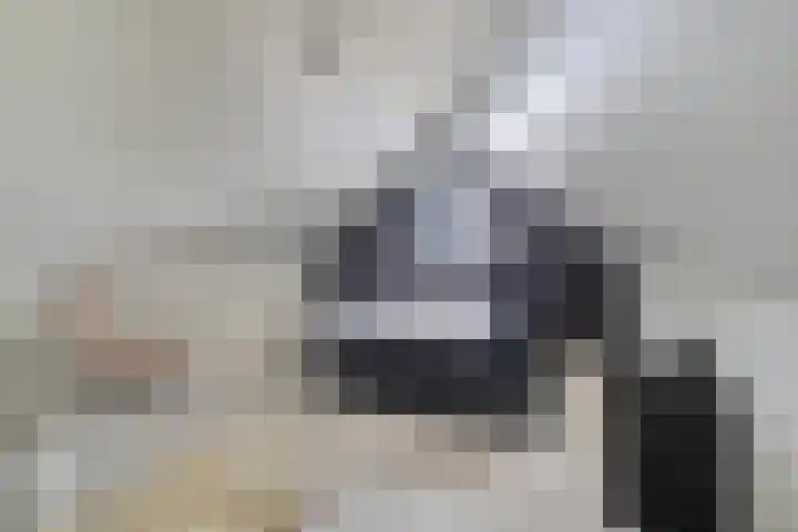 Ovito 16 Vlijmen thumbnail 22