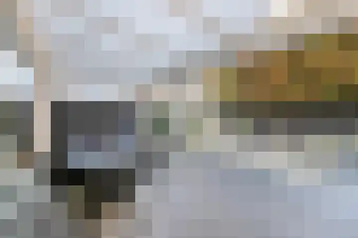 Ovito 16 Vlijmen thumbnail 26