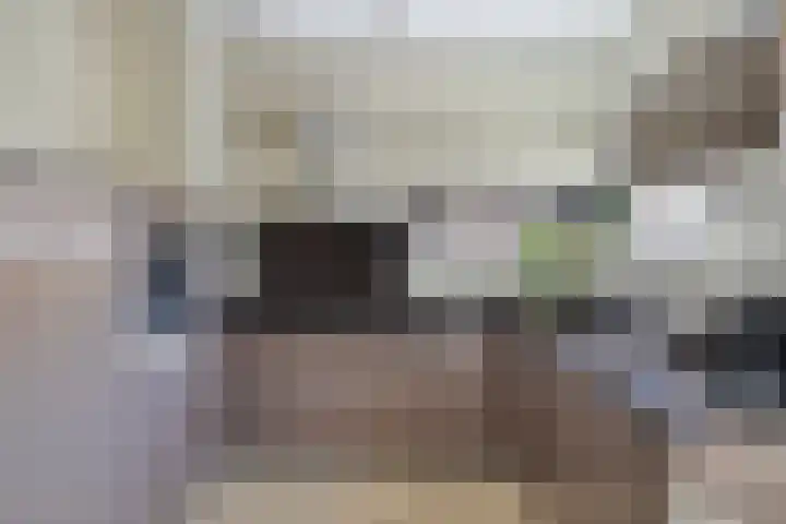 Ovito 16 Vlijmen thumbnail 6