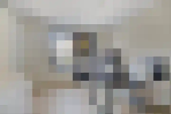Ovito 16 Vlijmen thumbnail 9