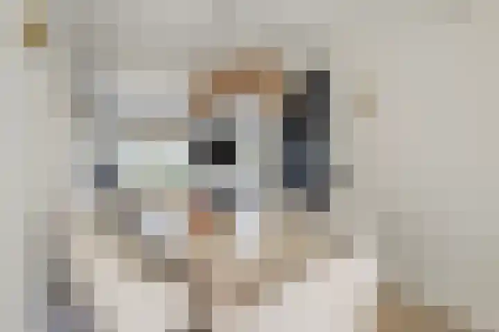 Owen Chamberlainstraat 9 Almere thumbnail 12