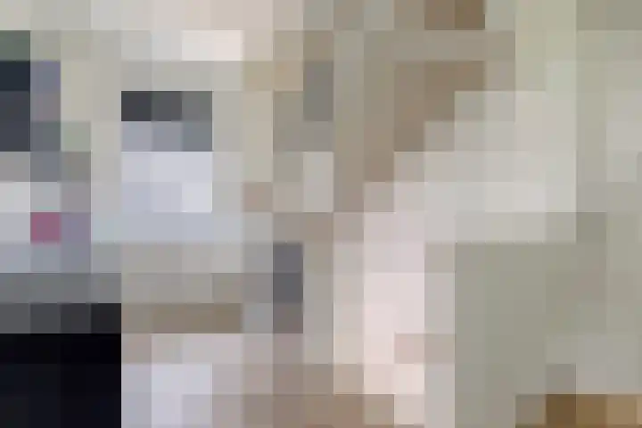 Owen Chamberlainstraat 9 Almere thumbnail 18