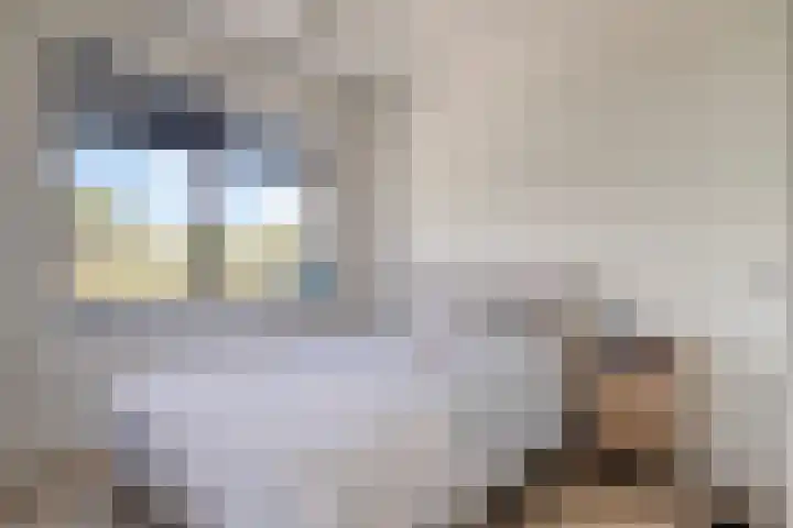 Owen Chamberlainstraat 9 Almere thumbnail 25